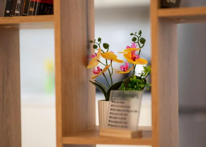 Aphrodite 's Cozy House