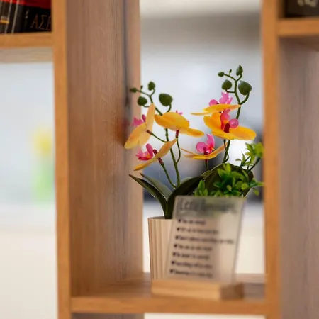 Aphrodite 's Cozy House